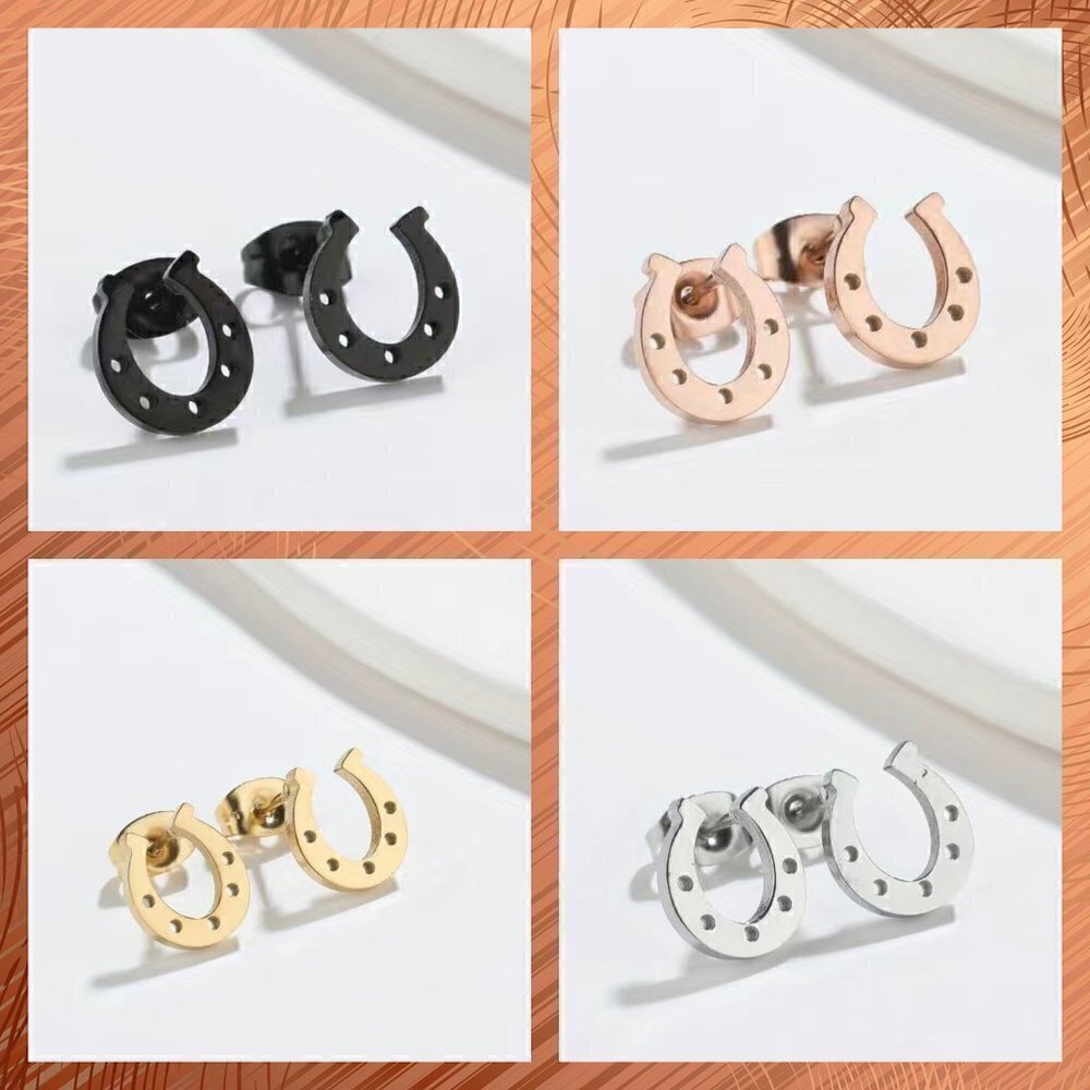Lucky Horseshoes Stainless Steel Stud Small Earrings #1143